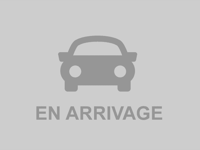 DS DS  3 Cabrio  BlueHDi 100ch Performance Line S&S
